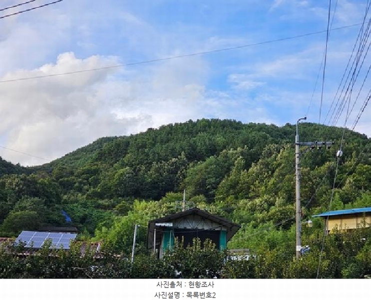 2025타경31015 경상남도 산청군 시천면 사리 산96-1 임야 경매 이미지