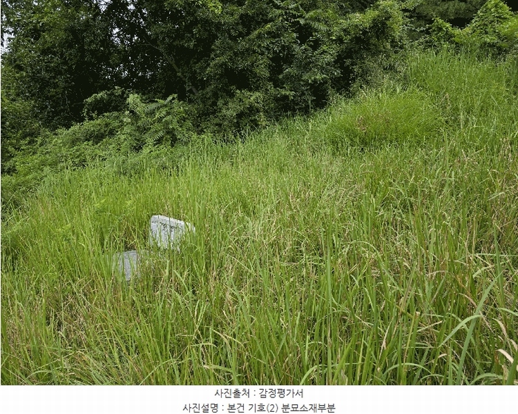 2025타경31015 경상남도 산청군 시천면 사리 산96-1 임야 경매 이미지