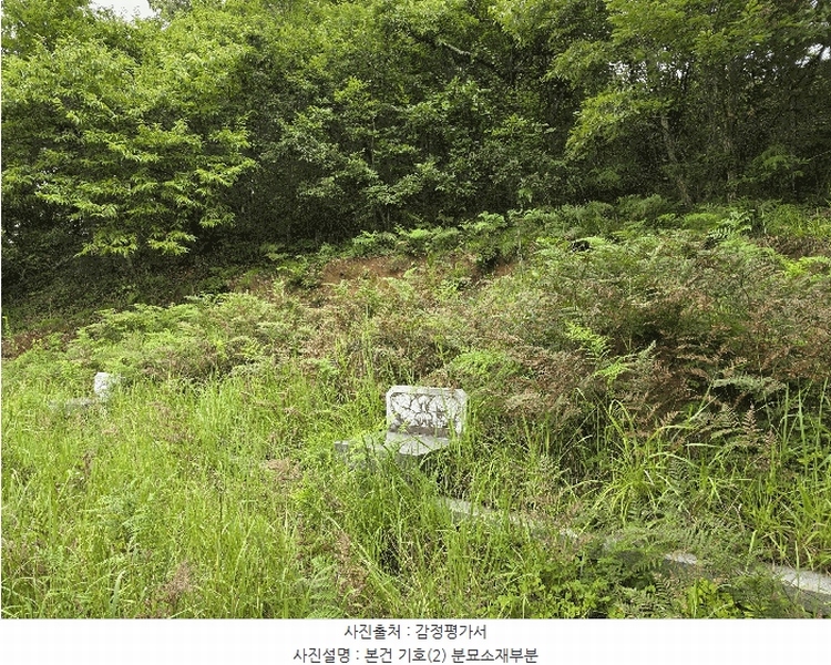 2025타경31015 경상남도 산청군 시천면 사리 산96-1 임야 경매 이미지