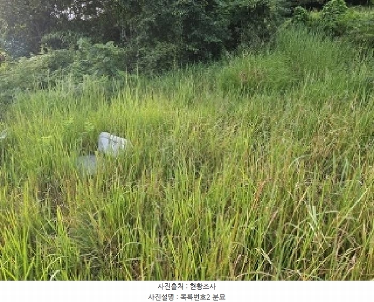 2025타경31015 경상남도 산청군 시천면 사리 산96-1 임야 경매 이미지