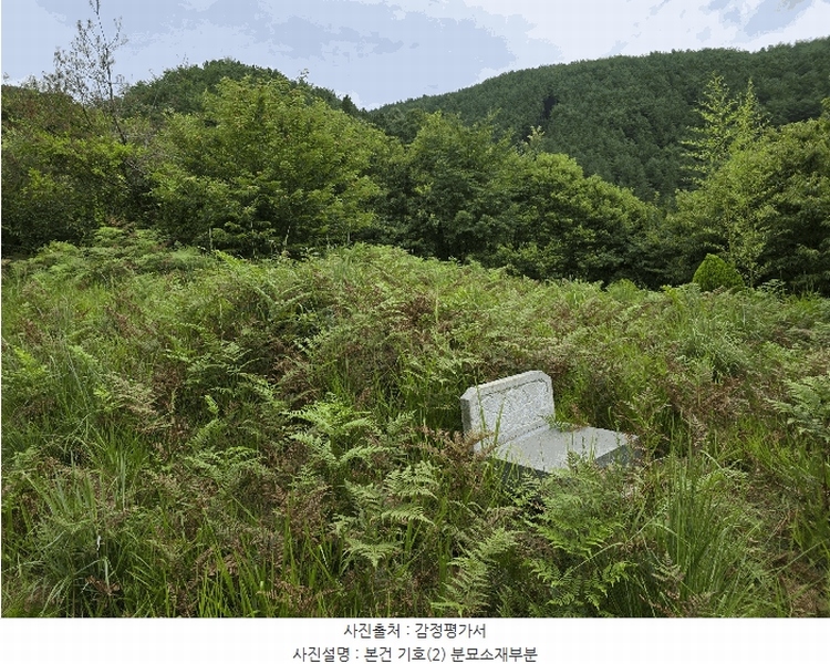 2025타경31015 경상남도 산청군 시천면 사리 산96-1 임야 경매 이미지