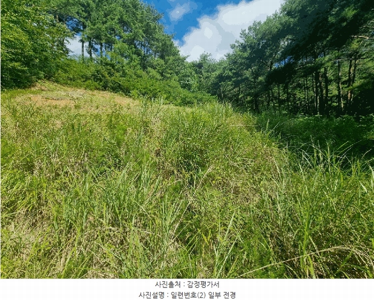 2025타경31026 경상남도 산청군 단성면 운리 393-6 다가구(원룸등) 경매 이미지