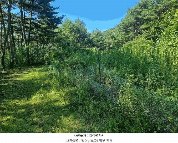 2025타경31026 경상남도 산청군 단성면 운리 393-6 다가구(원룸등) 경매 이미지