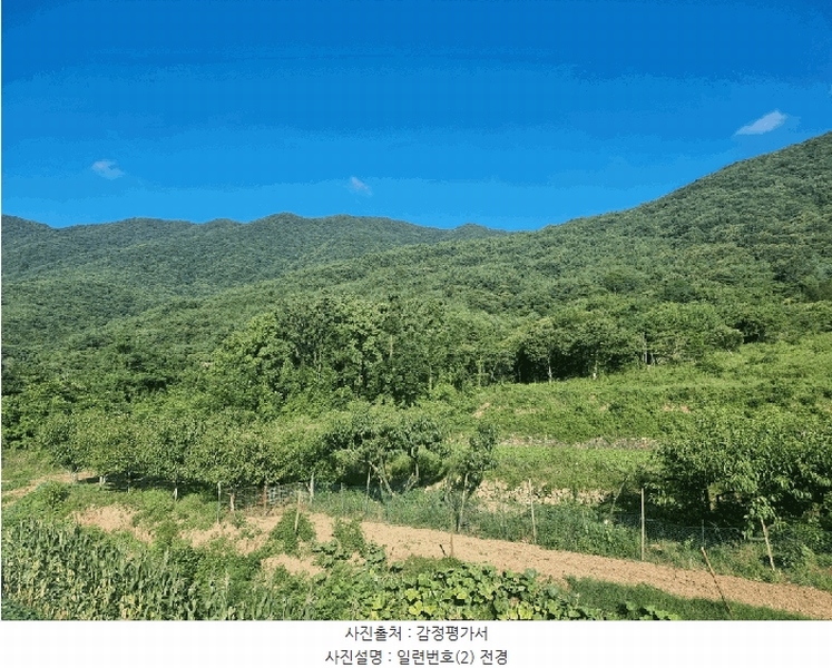 2025타경31026 경상남도 산청군 단성면 운리 393-6 다가구(원룸등) 경매 이미지