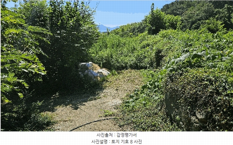 2025타경31044 경상남도 남해군 설천면 문의리 731 농지 경매 이미지