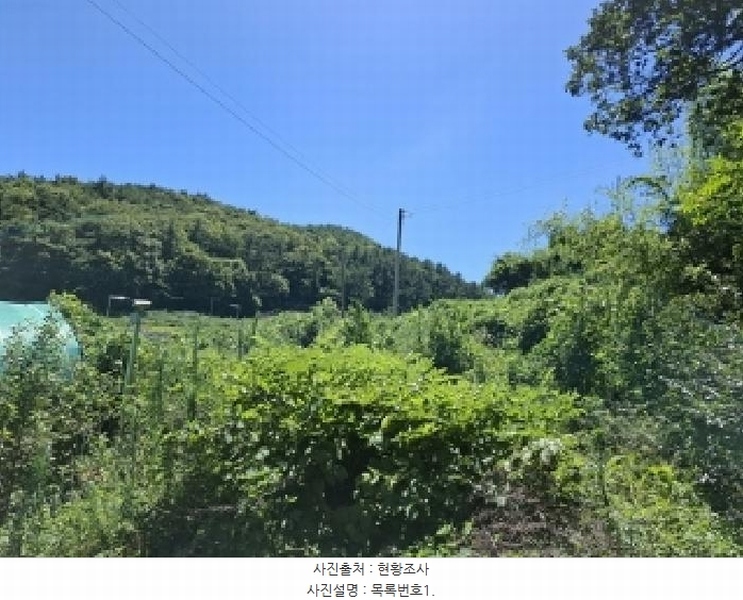 2025타경31054 경상남도 남해군 상주면 양아리 107 농지 경매 이미지