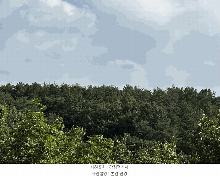 2025타경31060 경상남도 진주시 미천면 어옥리 산136 임야 경매 이미지