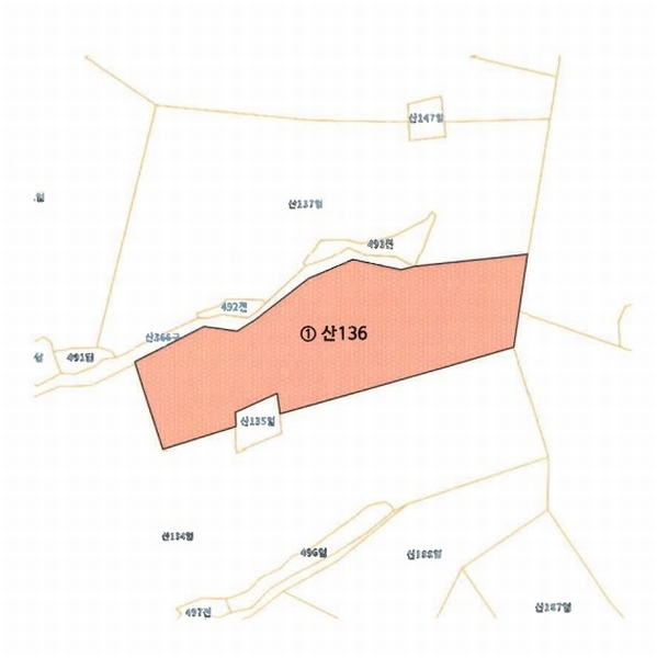 2025타경31060 경상남도 진주시 미천면 어옥리 산136 임야 경매 이미지