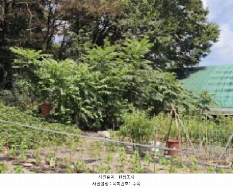 2025타경31083 경상남도 진주시 일반성면 운천리 306-2 농가관련시설 경매 이미지