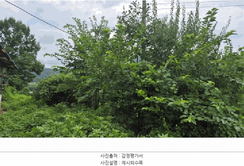 2025타경31100 경상남도 산청군 오부면 오전리 824 농가관련시설 경매 이미지