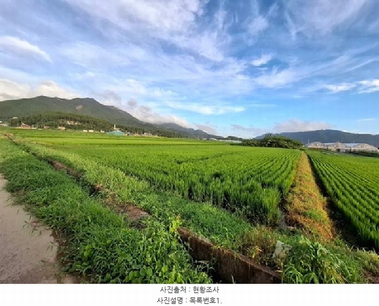2025타경31116 경상남도 사천시 용현면 덕곡리 266-4 농지 경매 이미지