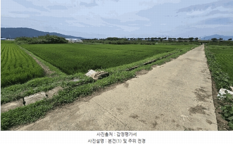 2025타경31116 경상남도 사천시 용현면 덕곡리 266-4 농지 경매 이미지