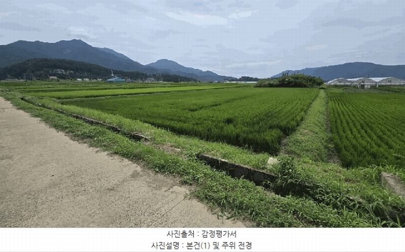2025타경31116 경상남도 사천시 용현면 덕곡리 266-4 농지 경매 이미지