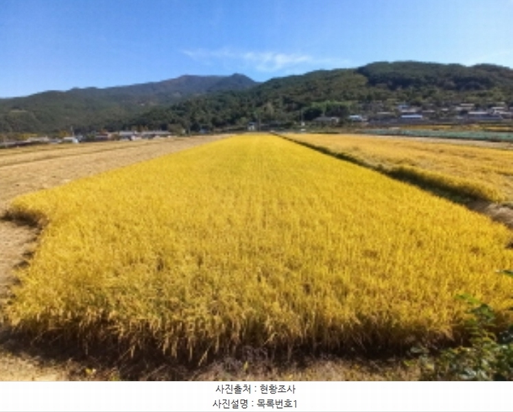 2023타경36994 경상남도 산청군 금서면 자혜리 573-18 농지 경매 이미지