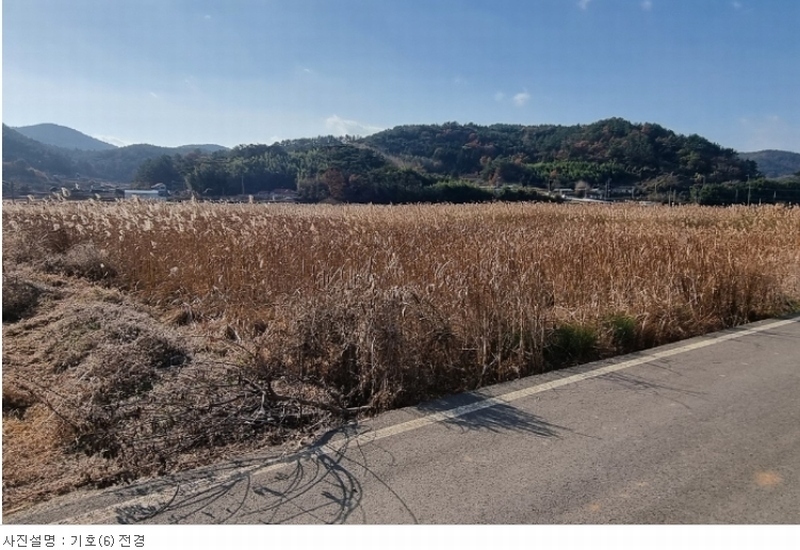 2023타경38457 경상남도 남해군 삼동면 금송리 170 농지 경매 이미지