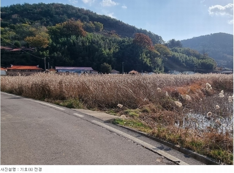 2023타경38457 경상남도 남해군 삼동면 금송리 170 농지 경매 이미지