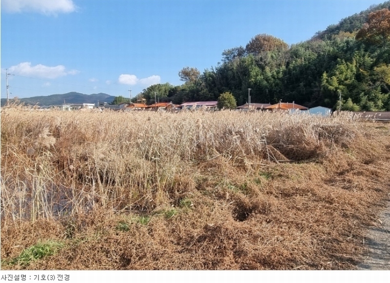 2023타경38457 경상남도 남해군 삼동면 금송리 170 농지 경매 이미지