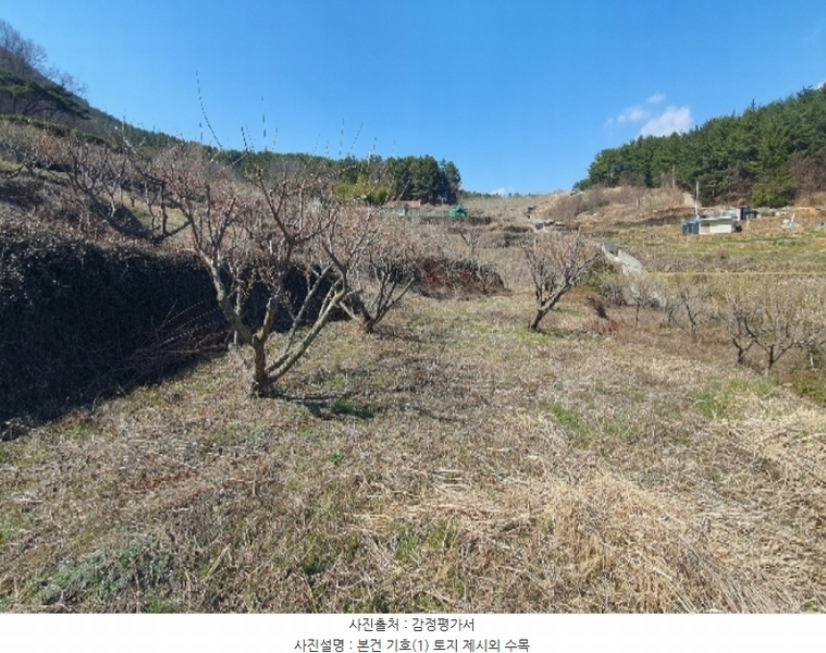 2024타경1117 경상남도 남해군 설천면 금음리 1370-1 농지 경매 이미지
