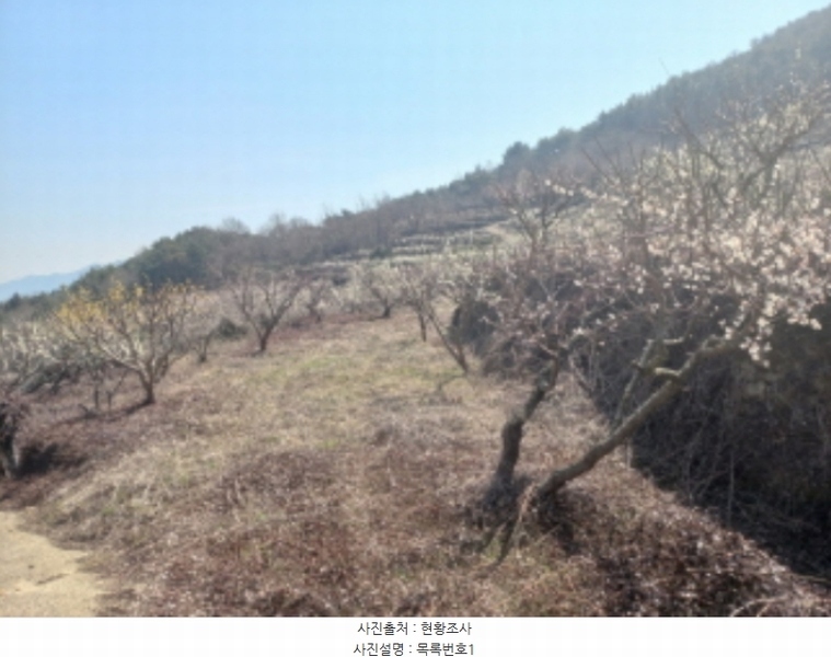 2024타경1117 경상남도 남해군 설천면 금음리 1370-1 농지 경매 이미지