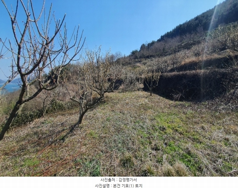 2024타경1117 경상남도 남해군 설천면 금음리 1370-1 농지 경매 이미지