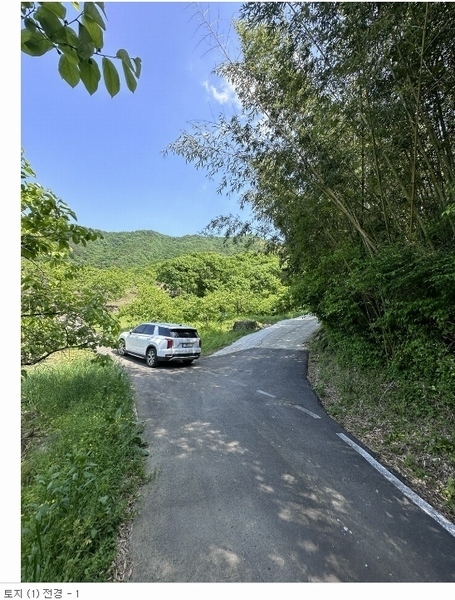 2024타경2264 경상남도 산청군 시천면 반천리 45 임야 경매 이미지