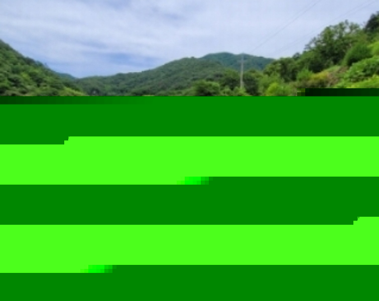 2024타경3328 경상남도 하동군 화개면 부춘리 142-4 농지 경매 이미지