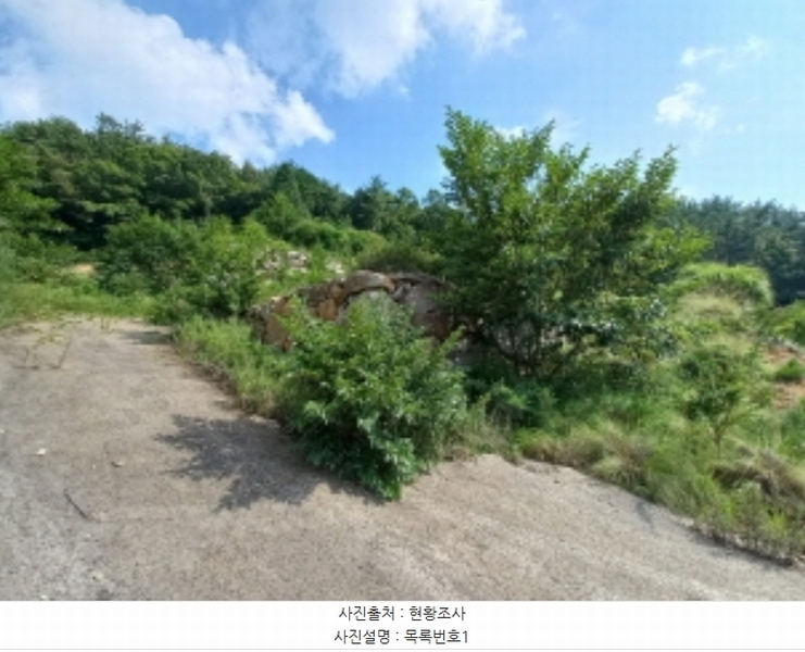 2024타경4123 경상남도 사천시 죽림동 131-7 임야 경매 이미지