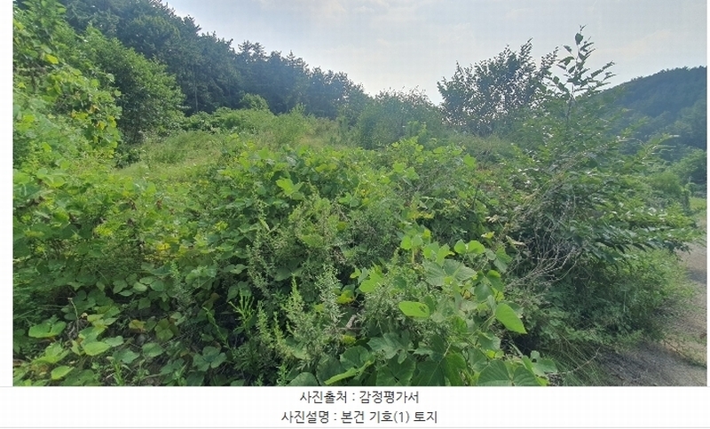 2024타경4123 경상남도 사천시 죽림동 131-7 임야 경매 이미지