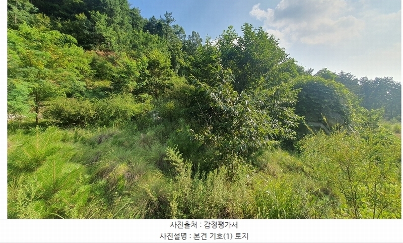 2024타경4123 경상남도 사천시 죽림동 131-7 임야 경매 이미지