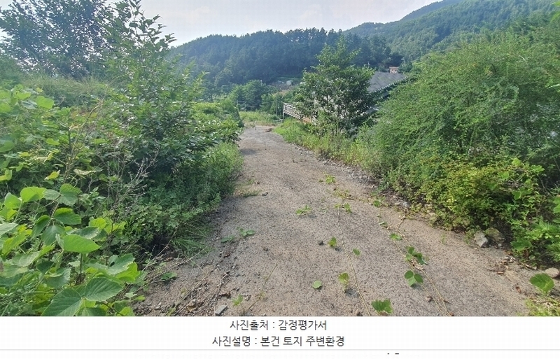 2024타경4123 경상남도 사천시 죽림동 131-7 임야 경매 이미지