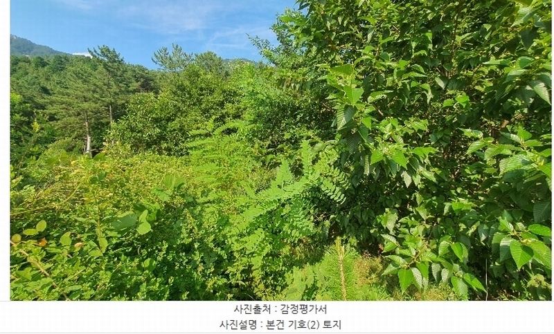 2024타경4123 경상남도 사천시 죽림동 131-7 임야 경매 이미지