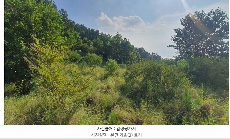 2024타경4123 경상남도 사천시 죽림동 131-7 임야 경매 이미지