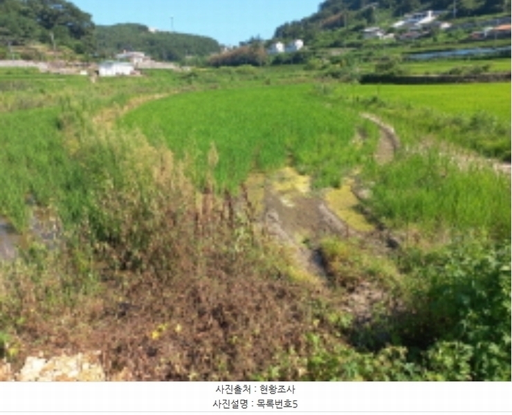 2024타경4253 경상남도 남해군 삼동면 동천리 940 농지 경매 이미지