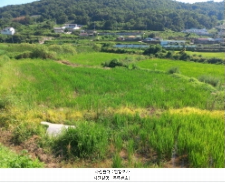 2024타경4253 경상남도 남해군 삼동면 동천리 940 농지 경매 이미지