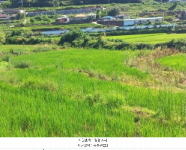 2024타경4253 경상남도 남해군 삼동면 동천리 940 농지 경매 이미지