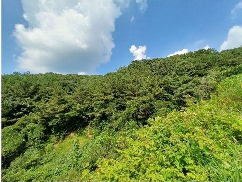 2024타경4369 경상남도 진주시 명석면 외율리 산143 임야 경매 이미지