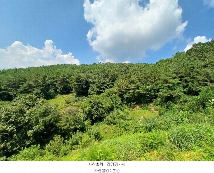 2024타경4369 경상남도 진주시 명석면 외율리 산143 임야 경매 이미지