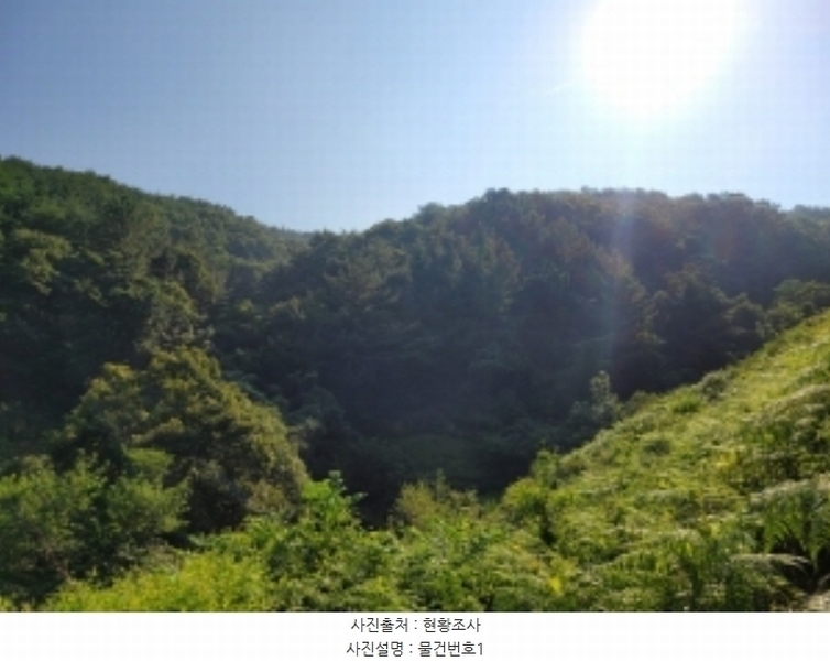 2024타경4369 경상남도 진주시 명석면 외율리 산143 임야 경매 이미지