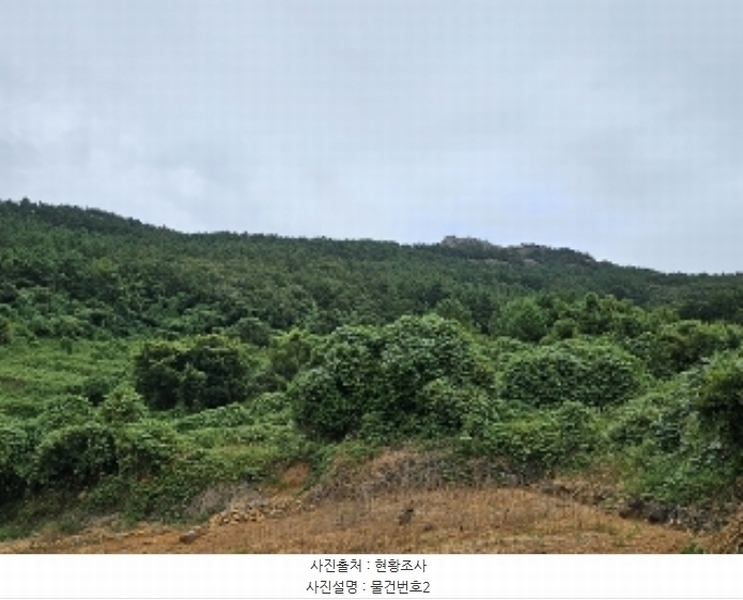 2024타경4642 경상남도 남해군 남면 선구리 441 농지 경매 이미지
