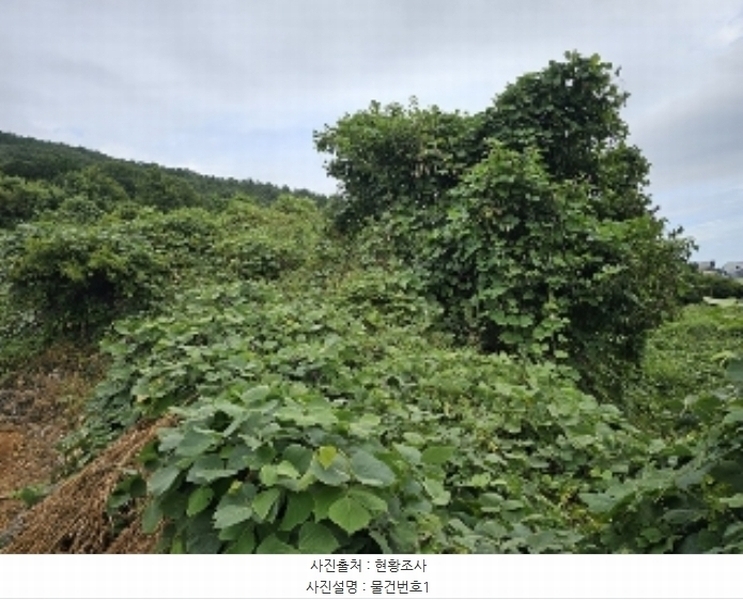 2024타경4642 경상남도 남해군 남면 선구리 441 농지 경매 이미지