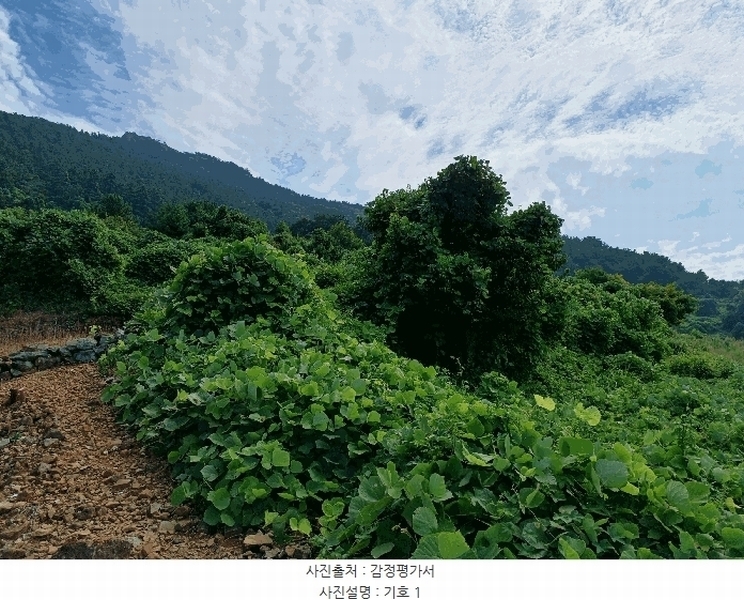 2024타경4642 경상남도 남해군 남면 선구리 441 농지 경매 이미지