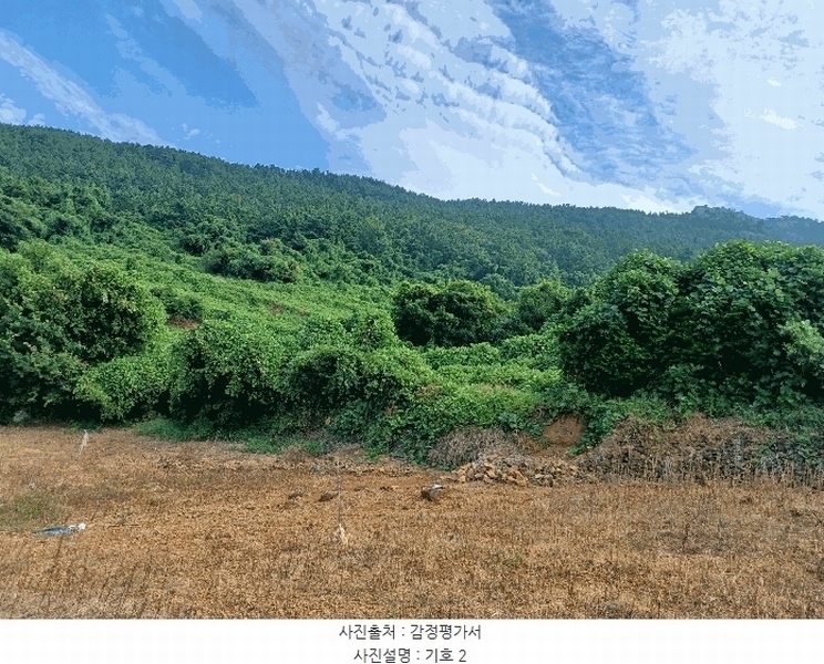 2024타경4642 경상남도 남해군 남면 선구리 441 농지 경매 이미지