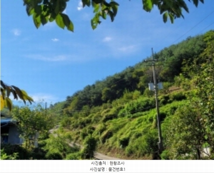 2024타경5201 경상남도 진주시 미천면 안간리 산194-6 임야 경매 이미지