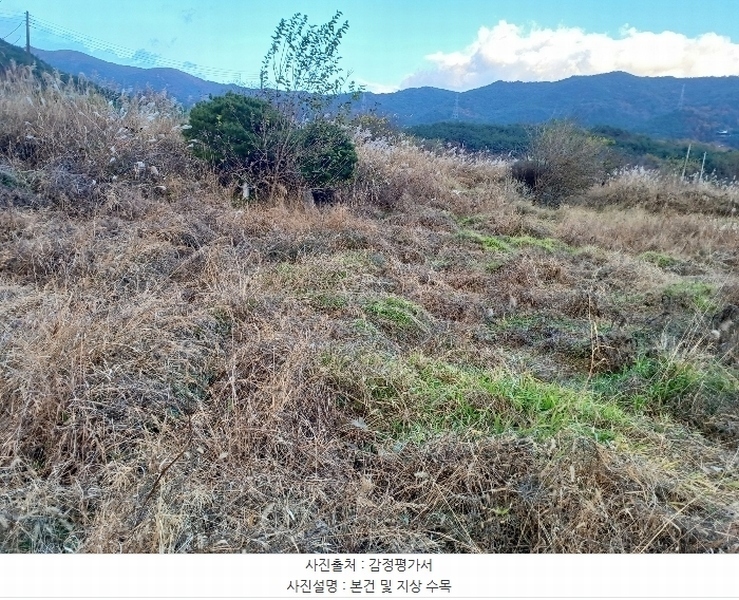 2024타경6297 경상남도 산청군 단성면 운리 274 농지 경매 이미지