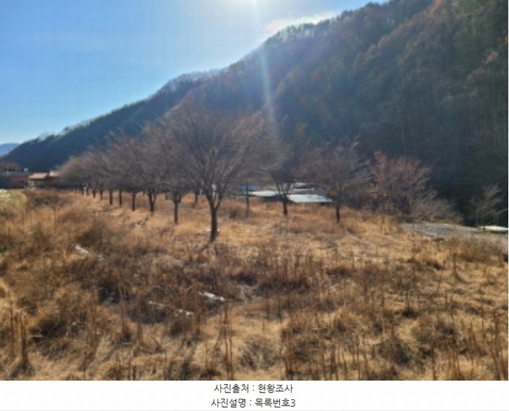 2024타경6365 경상남도 산청군 시천면 동당리 687 농지 경매 이미지