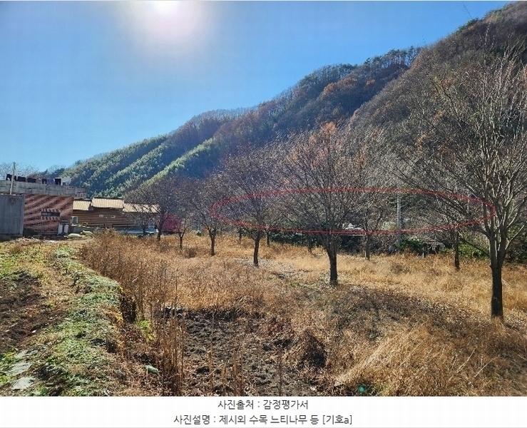 2024타경6365 경상남도 산청군 시천면 동당리 687 농지 경매 이미지