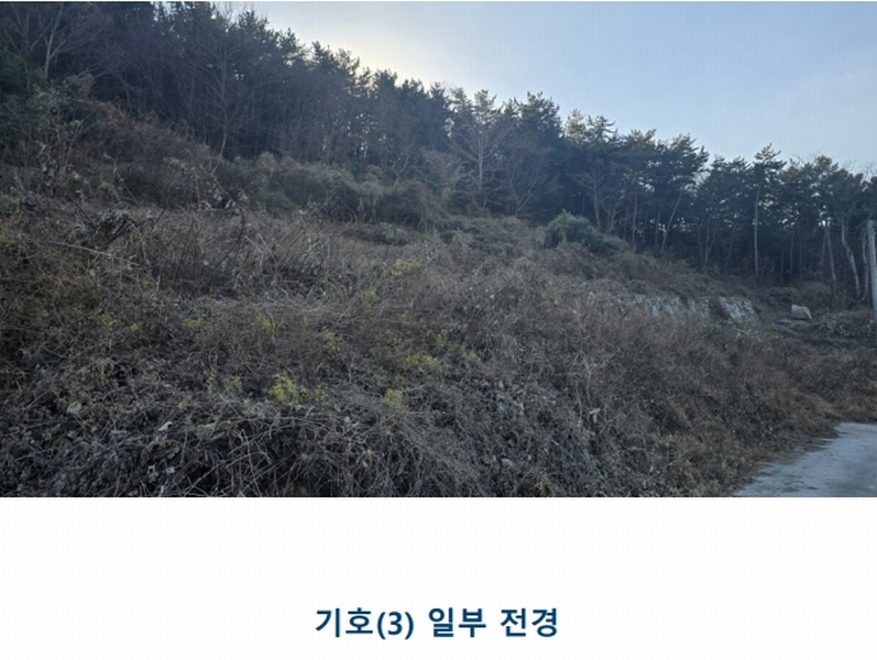 2024타경30511 경상남도 남해군 남해읍 입현리 1433 과수원 경매 이미지