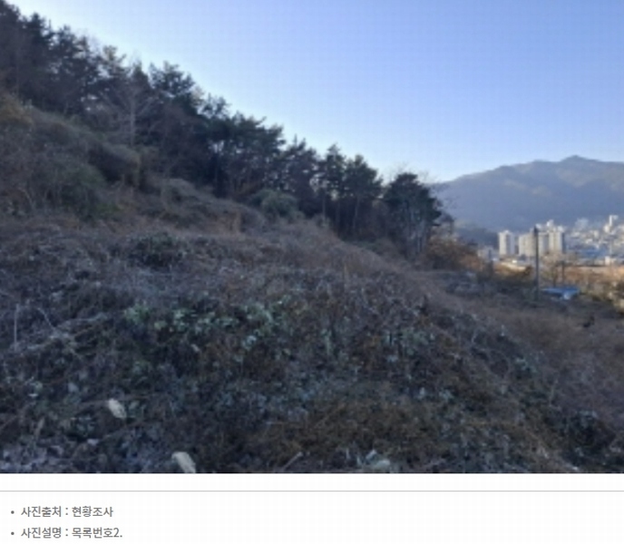 2024타경30511 경상남도 남해군 남해읍 입현리 1433 과수원 경매 이미지