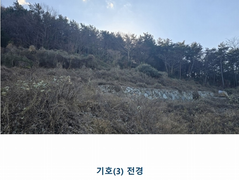 2024타경30511 경상남도 남해군 남해읍 입현리 1433 과수원 경매 이미지