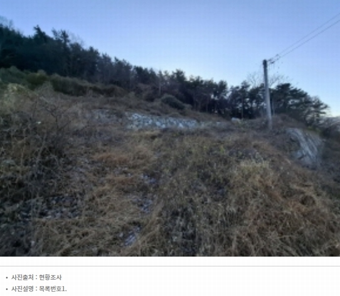 2024타경30511 경상남도 남해군 남해읍 입현리 1433 과수원 경매 이미지